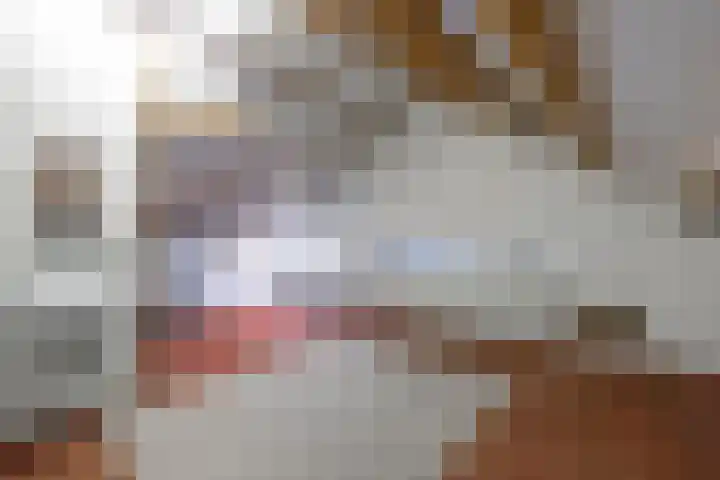 Sleper 1 Landgraaf thumbnail 19