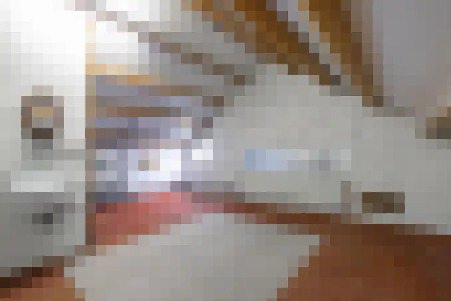 Sleper 1 Landgraaf thumbnail 19