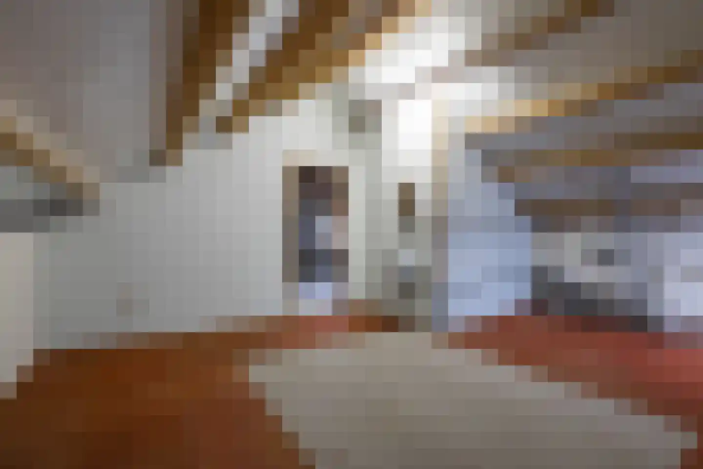Sleper 1 Landgraaf thumbnail 20