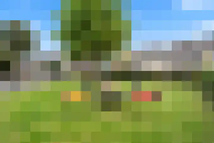 Sleper 14 Woerden thumbnail 29