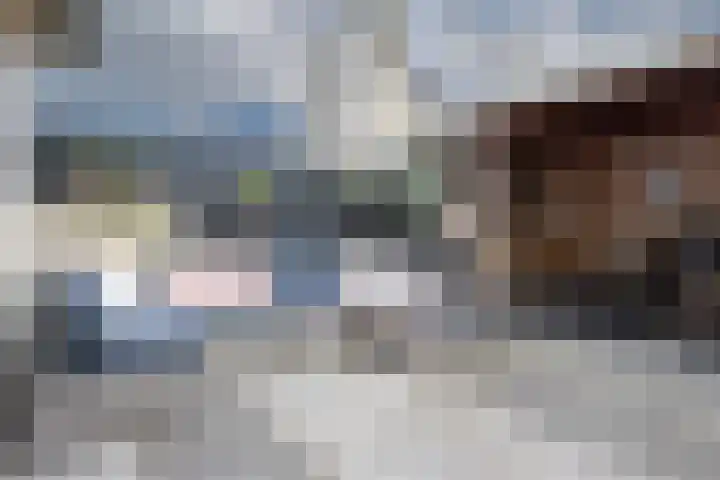 Sleper 29 Woerden thumbnail 14