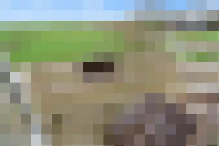 Sleper 32 Woerden thumbnail 22