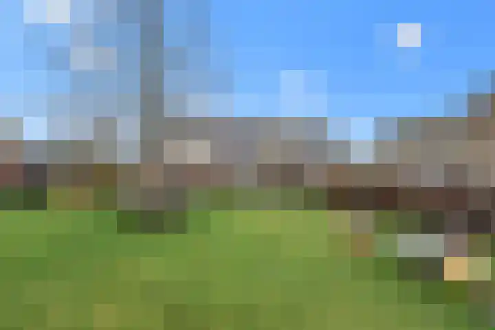 Sleper 32 Woerden thumbnail 34