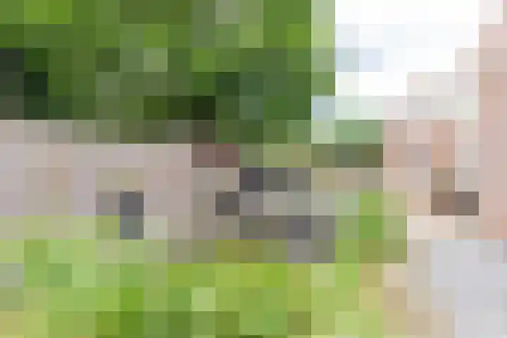 Sleperstraat 3 Hoensbroek thumbnail 13