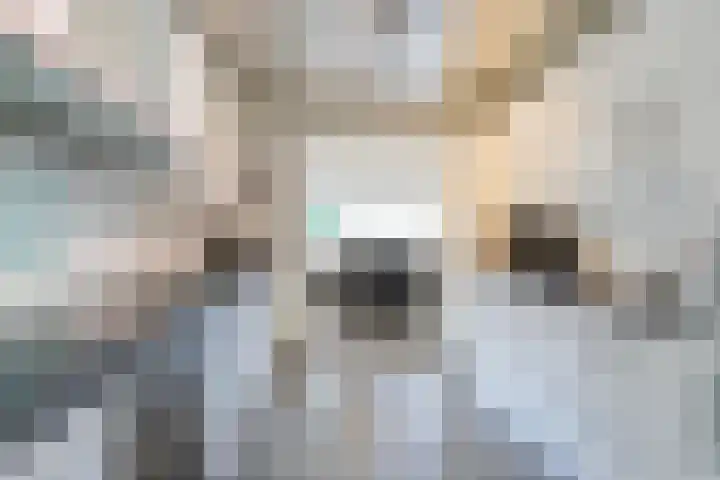 Sleperstraat 3 Hoensbroek thumbnail 4
