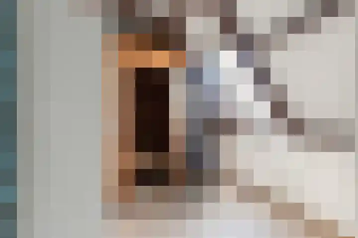 Sleperstraat 31 Alkmaar thumbnail 21