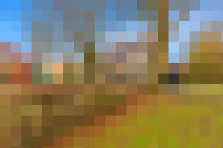 Sleperstraat 31 Alkmaar thumbnail 33