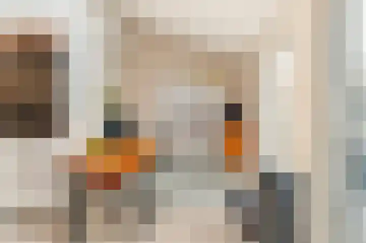 Sleperstraat 31 Alkmaar thumbnail 9