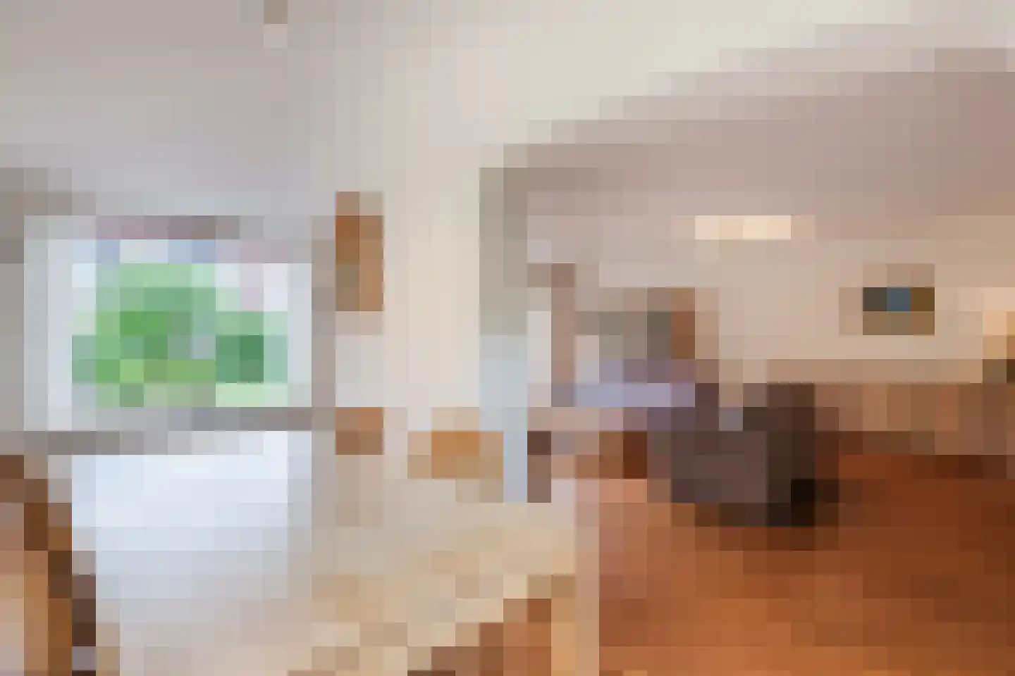 Sleperstraat 42 Alkmaar thumbnail 15