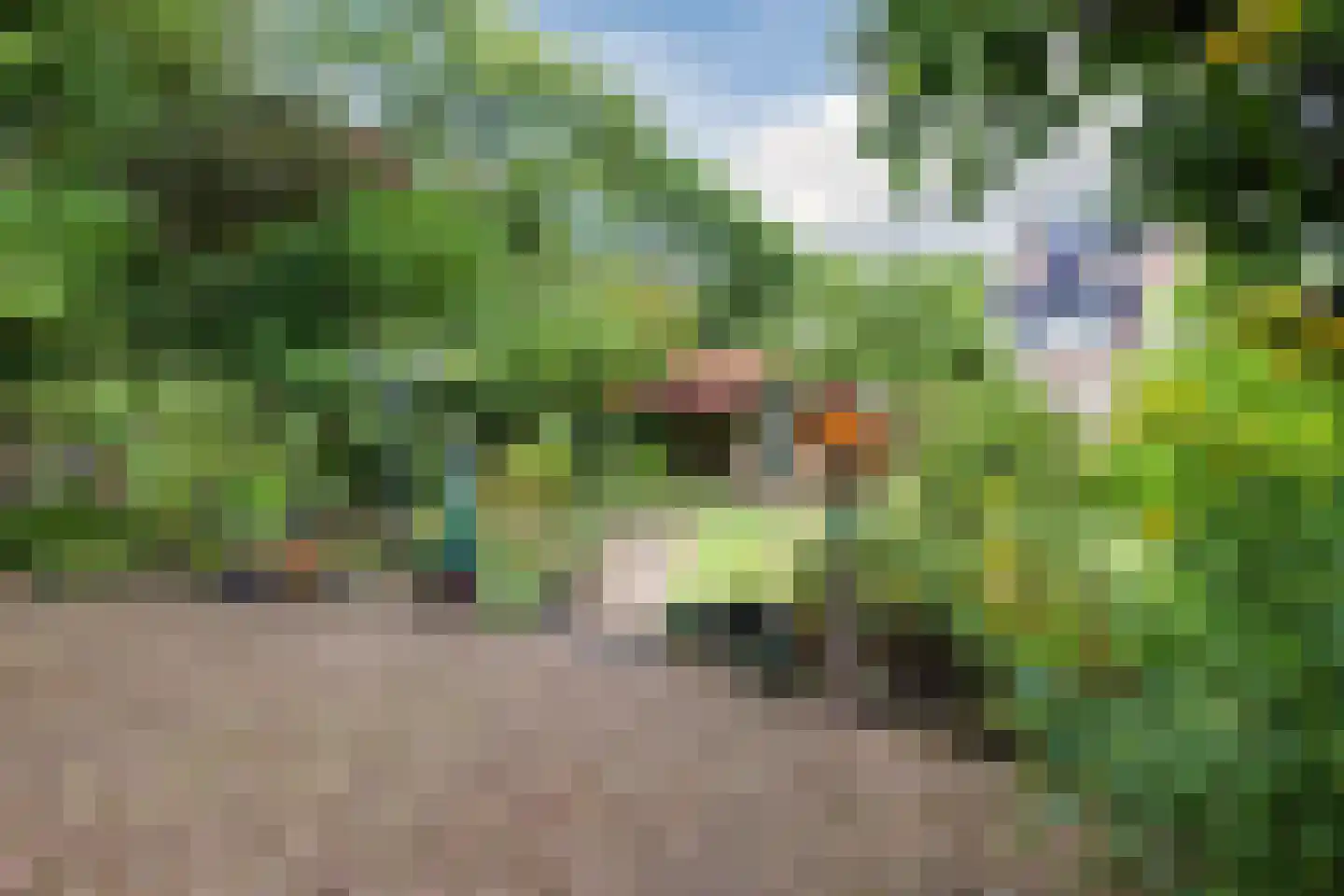 Sleperstraat 42 Alkmaar thumbnail 38