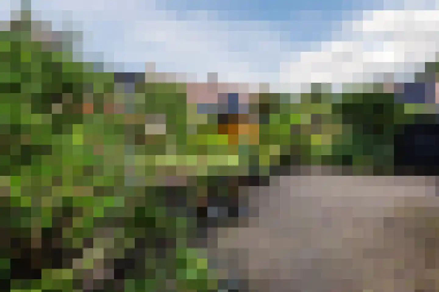 Sleperstraat 42 Alkmaar thumbnail 39