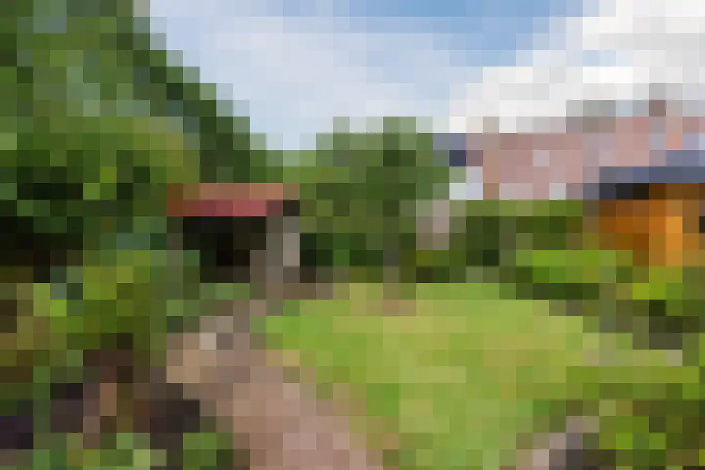 Sleperstraat 42 Alkmaar thumbnail 40