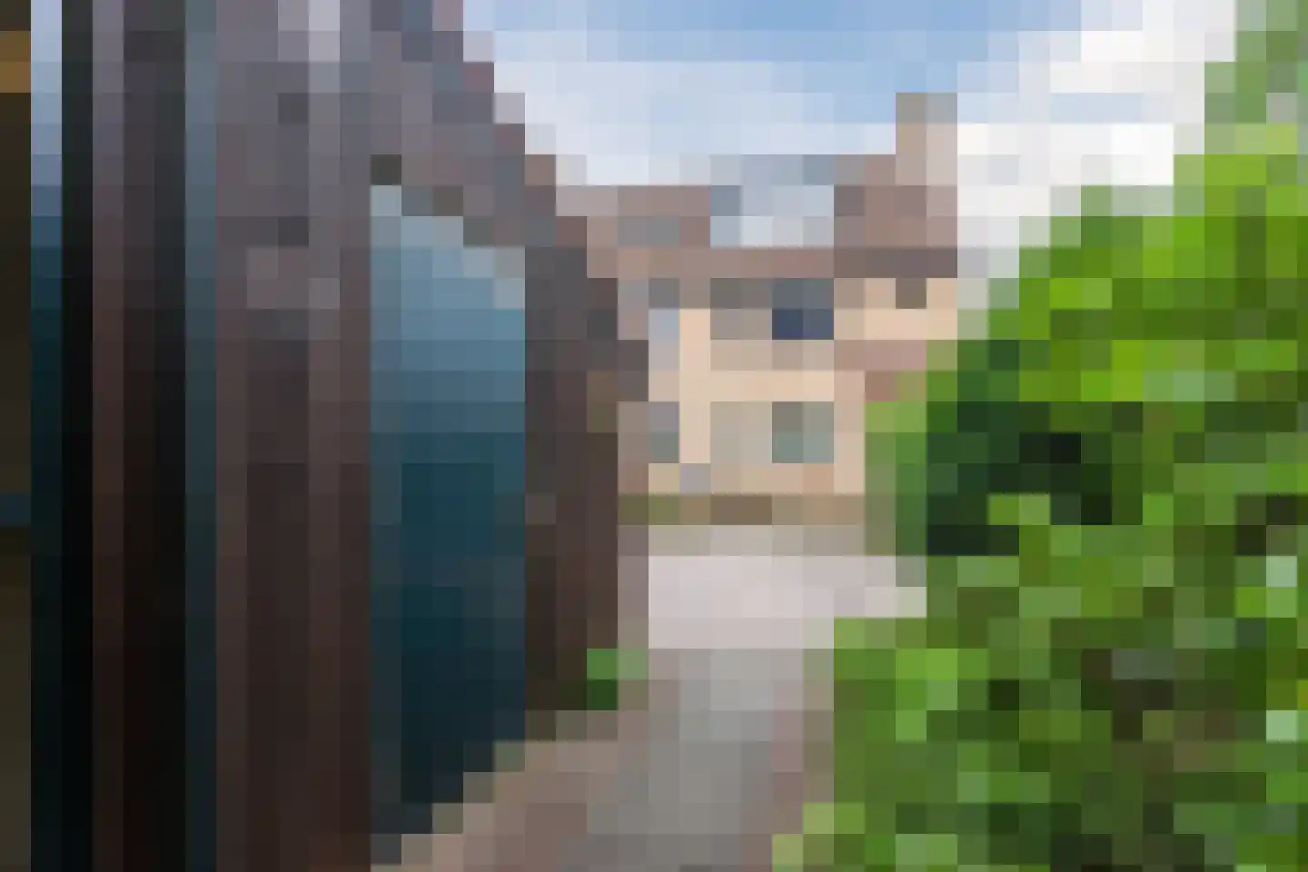 Sleperstraat 42 Alkmaar thumbnail 50