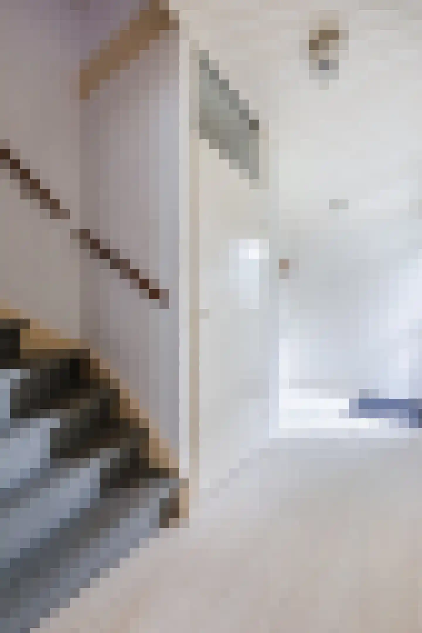 Sleperstraat 42 Alkmaar thumbnail 8