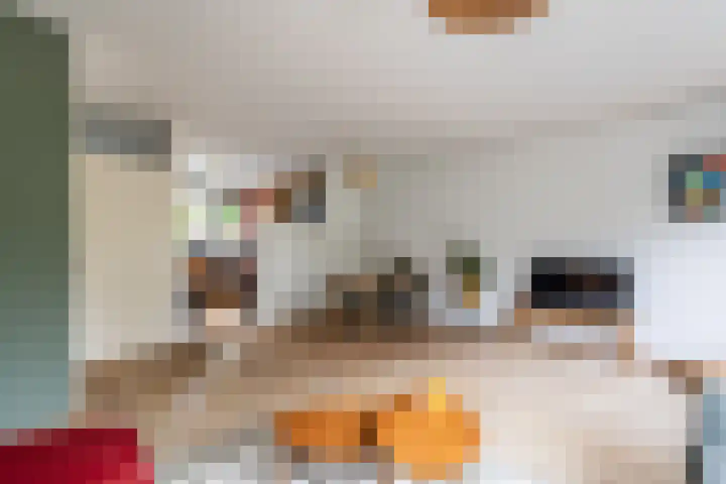 Sleperstraat 8 Alkmaar thumbnail 10