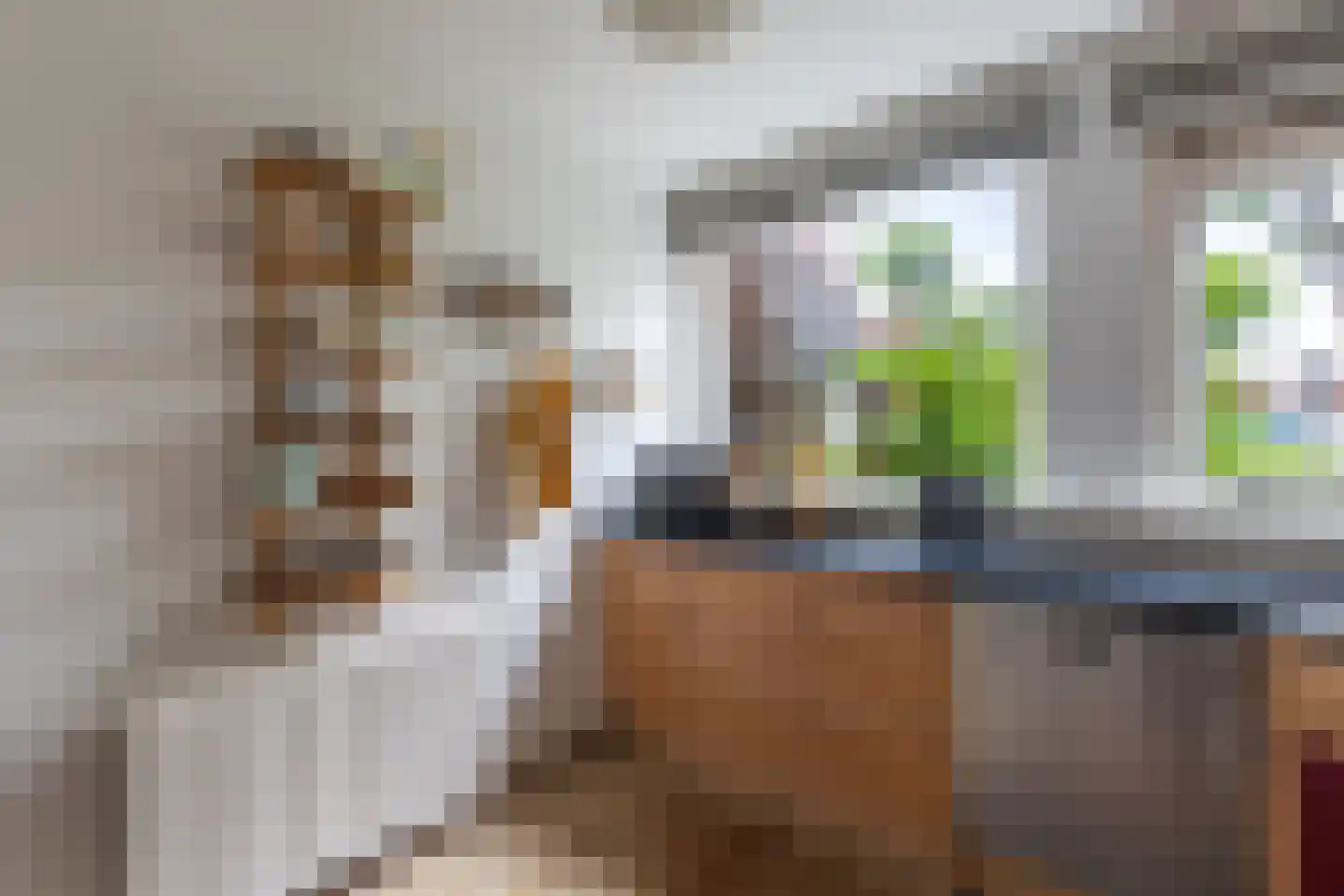 Sleperstraat 8 Alkmaar thumbnail 14