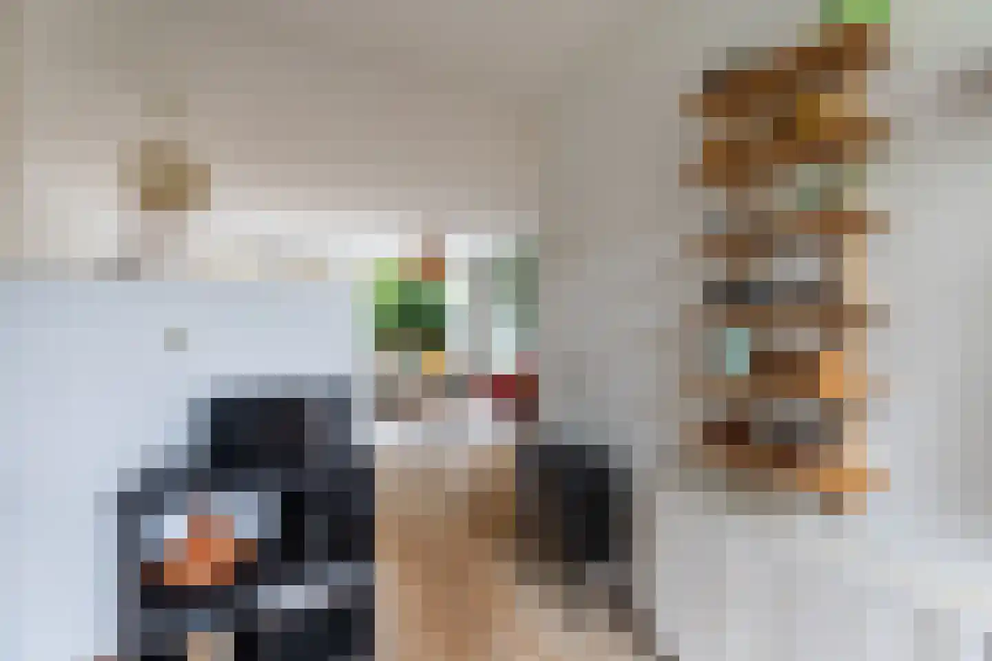 Sleperstraat 8 Alkmaar thumbnail 16