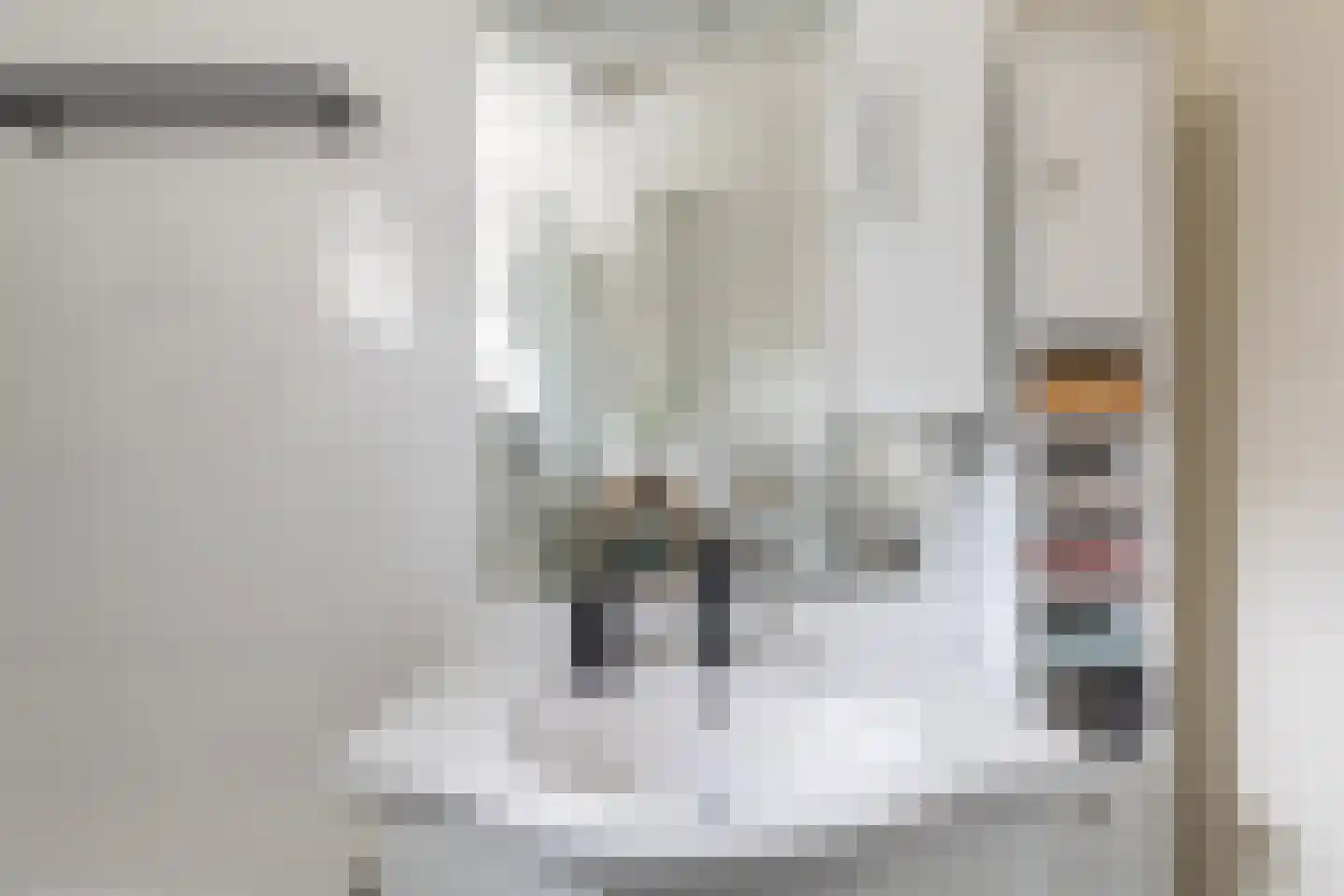 Sleperstraat 8 Alkmaar thumbnail 26