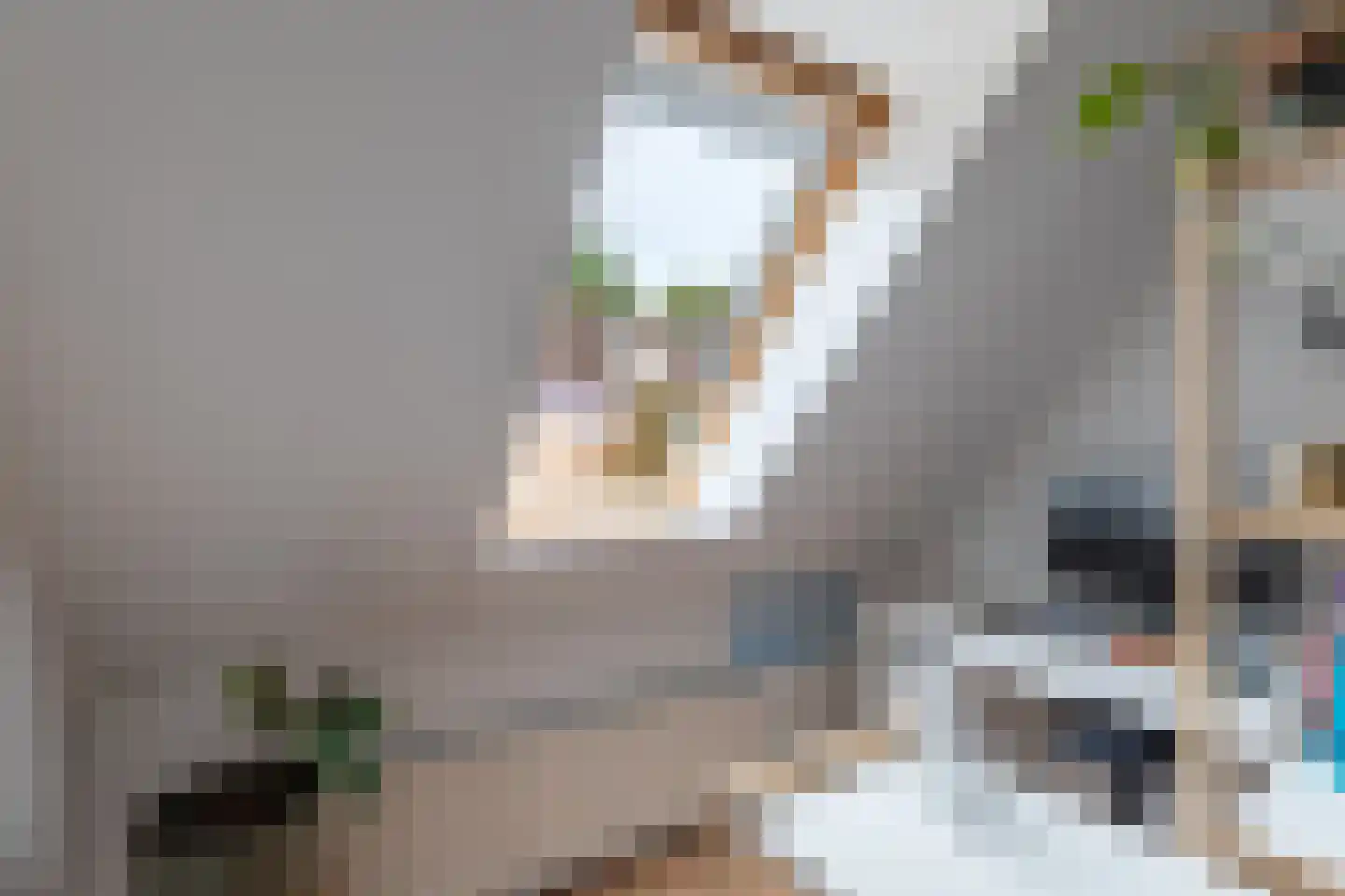 Sleperstraat 8 Alkmaar thumbnail 29