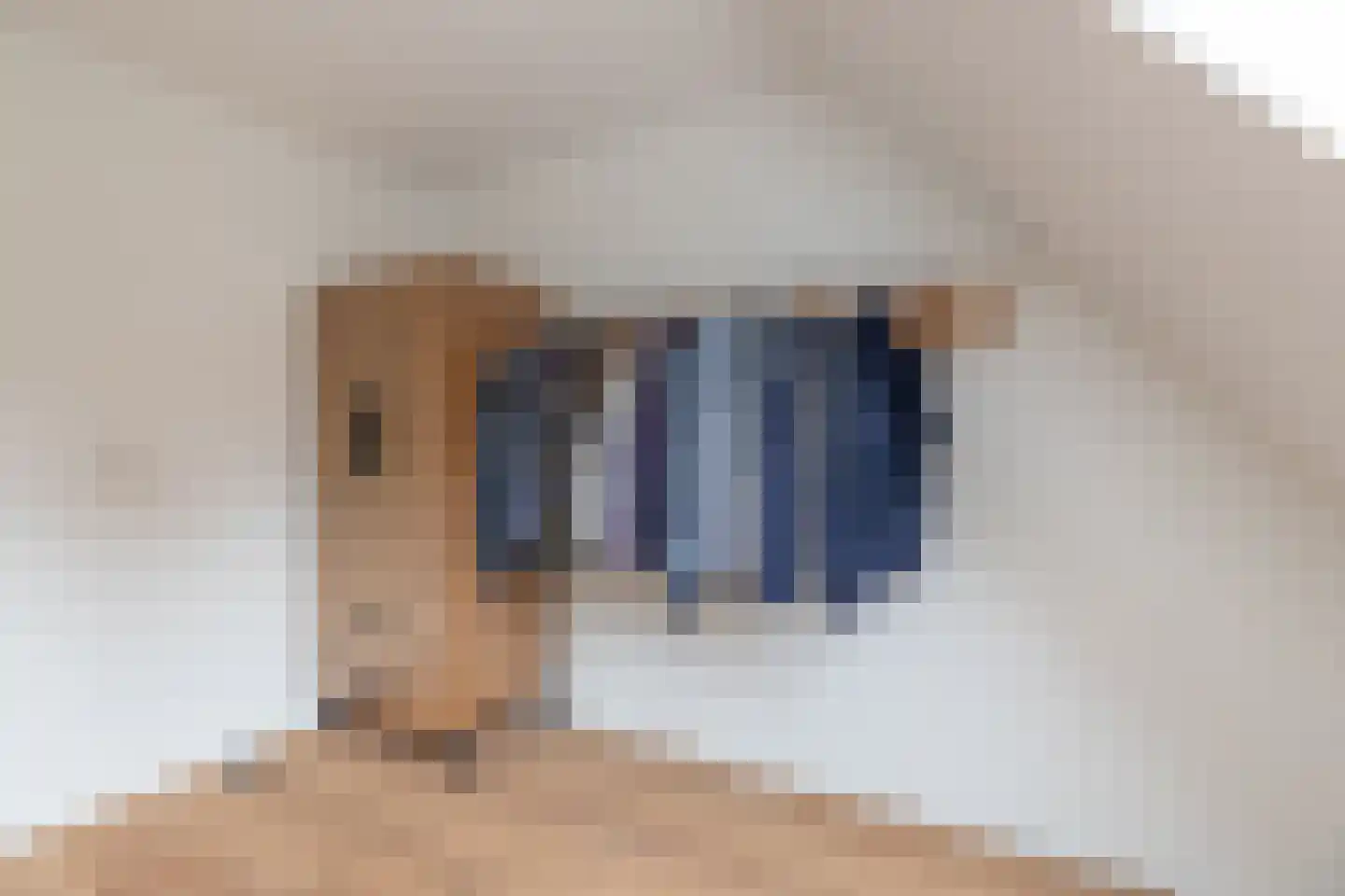 Sleperstraat 8 Alkmaar thumbnail 33