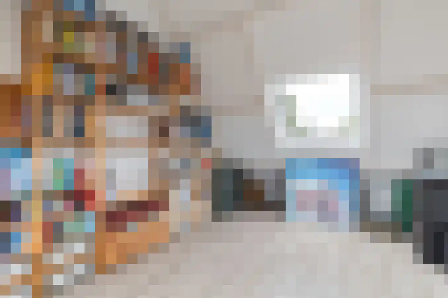 Sleperstraat 8 Alkmaar thumbnail 38