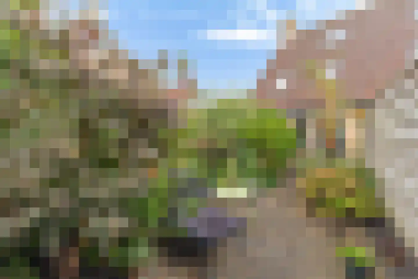 Sleperstraat 8 Alkmaar thumbnail 41