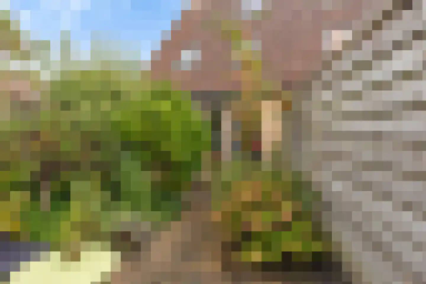 Sleperstraat 8 Alkmaar thumbnail 42