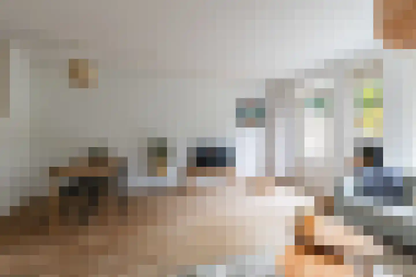 Sleperstraat 8 Alkmaar thumbnail 9