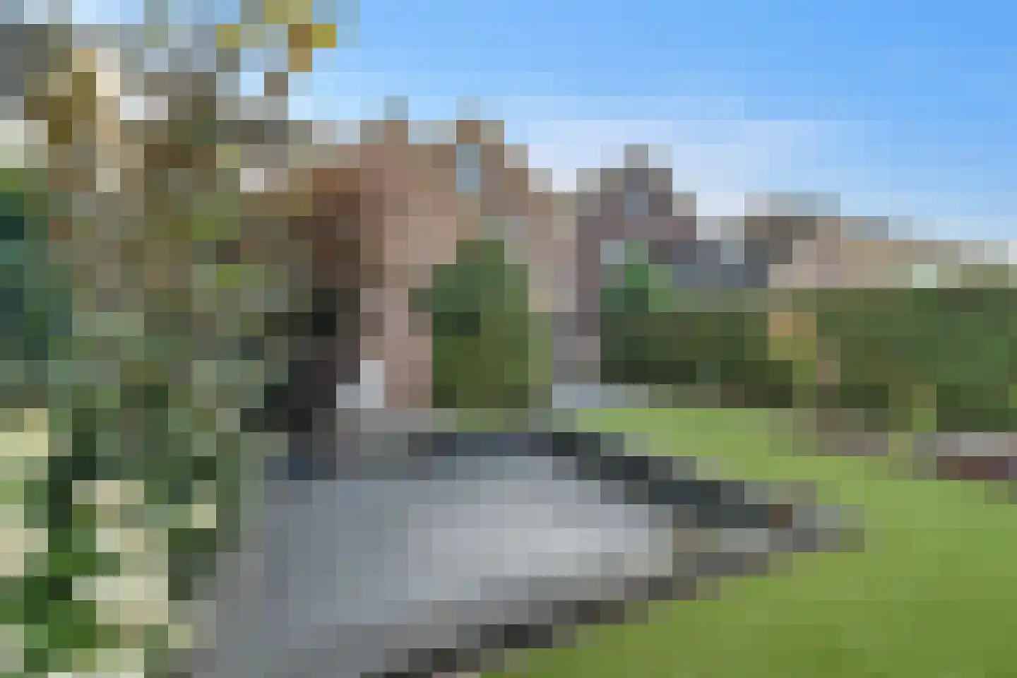 Slettenhaarsweide 19 Nijverdal thumbnail 32