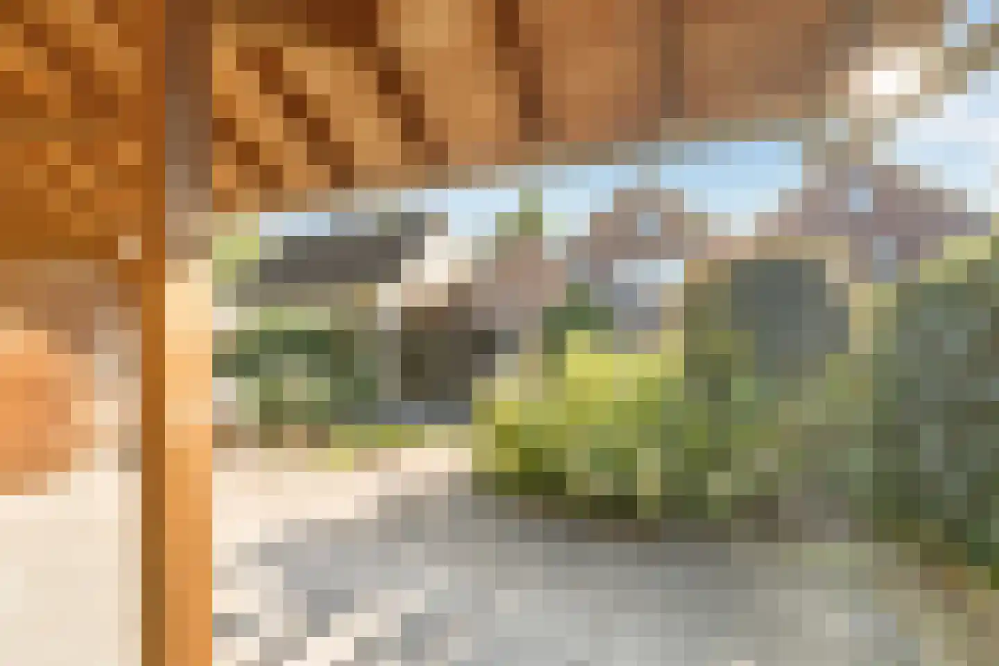 Slettenhaarsweide 19 Nijverdal thumbnail 33