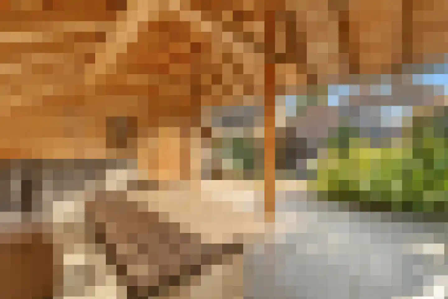 Slettenhaarsweide 19 Nijverdal thumbnail 34