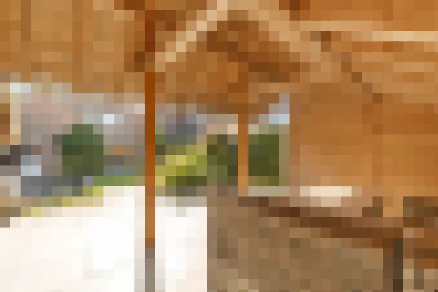 Slettenhaarsweide 19 Nijverdal thumbnail 35