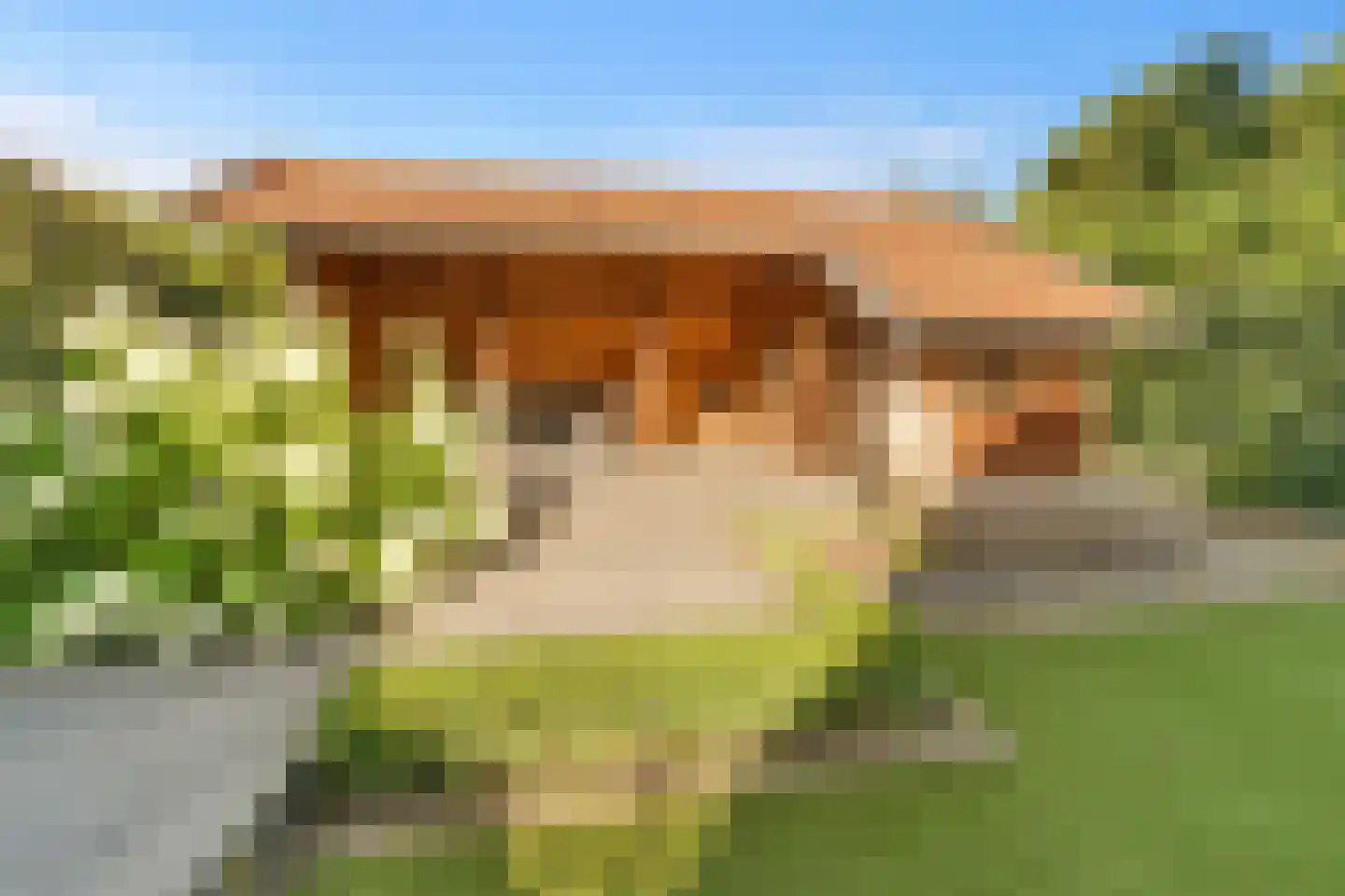 Slettenhaarsweide 19 Nijverdal thumbnail 36