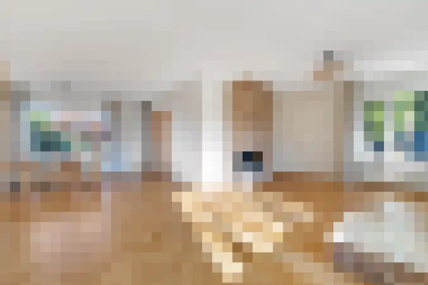 Slettenhaarsweide 19 Nijverdal thumbnail 4