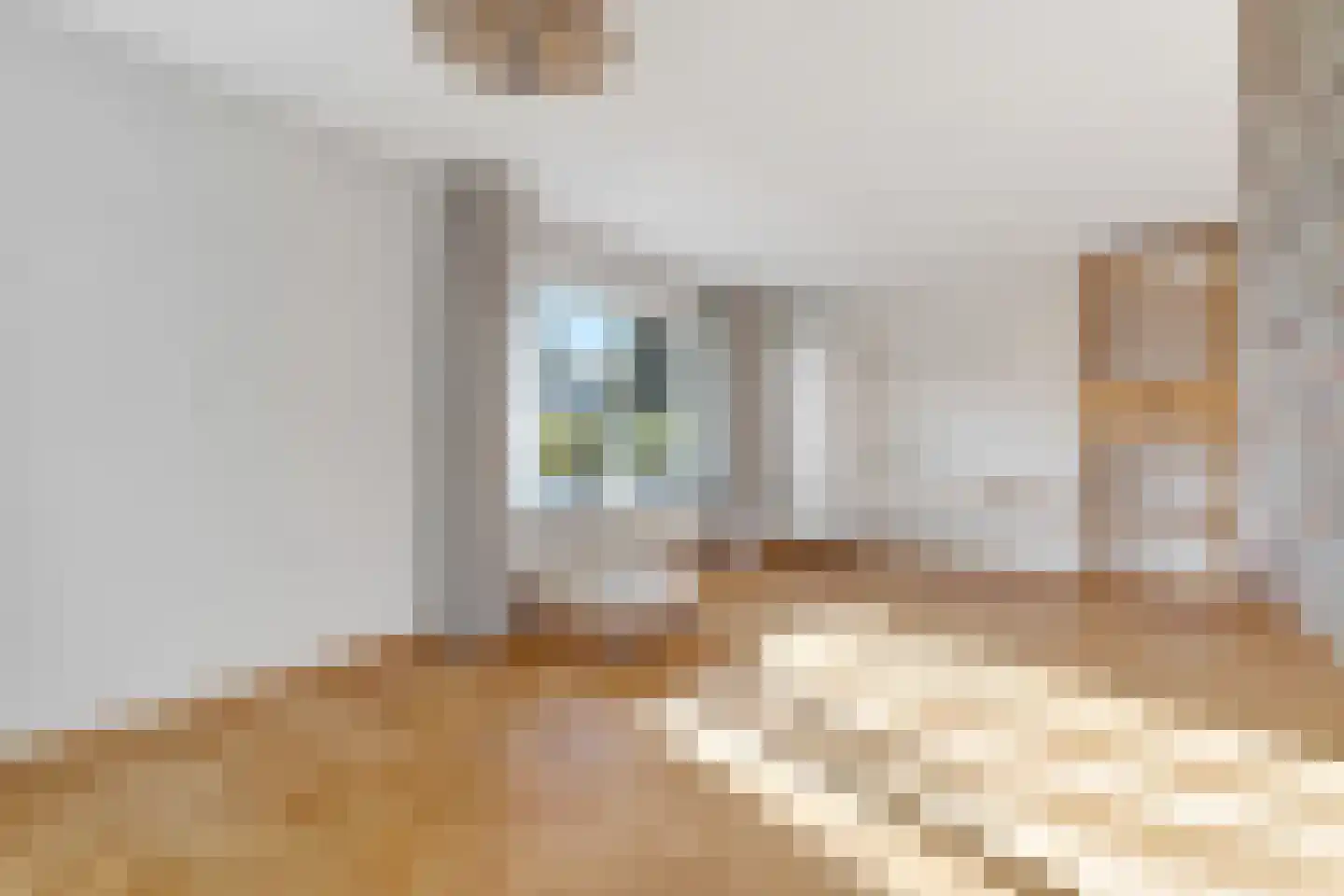 Slettenhaarsweide 19 Nijverdal thumbnail 6