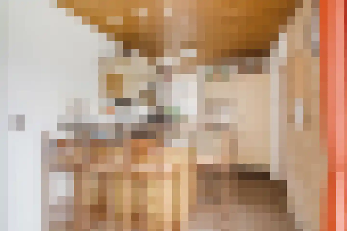 Slettenhaarsweide 4 Nijverdal thumbnail 10