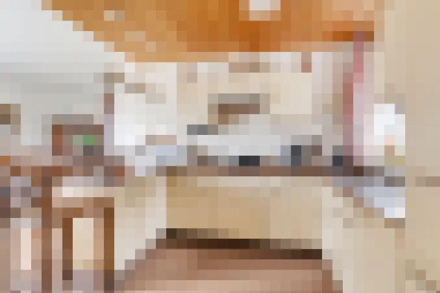 Slettenhaarsweide 4 Nijverdal thumbnail 11