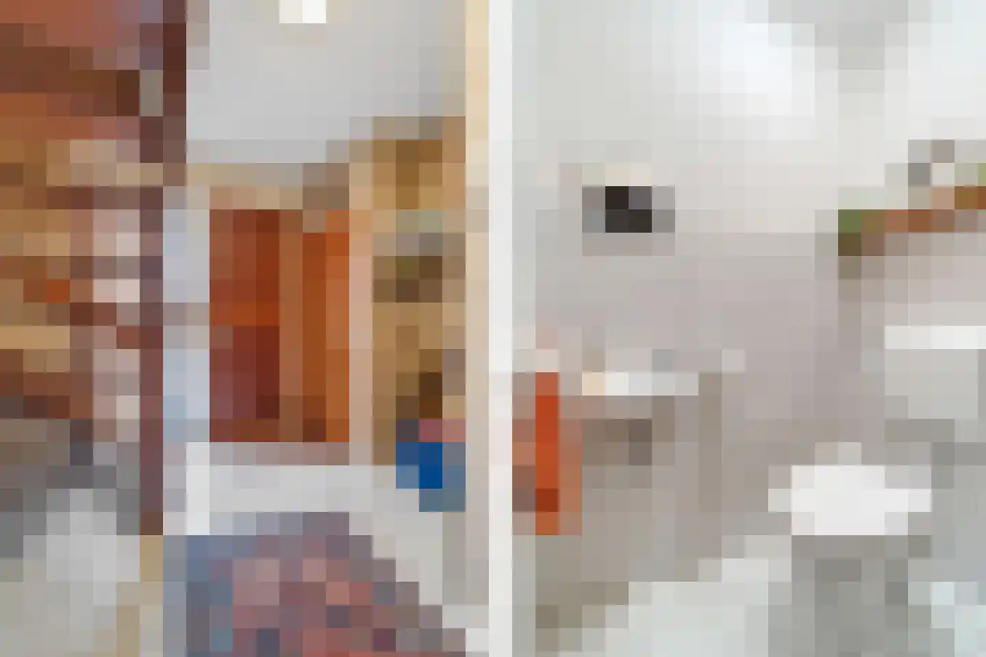 Slettenhaarsweide 4 Nijverdal thumbnail 15