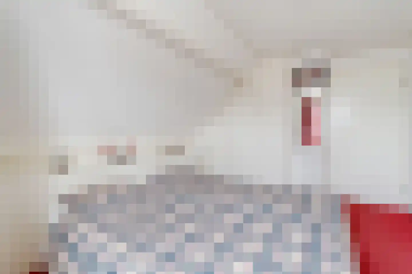 Slettenhaarsweide 4 Nijverdal thumbnail 18