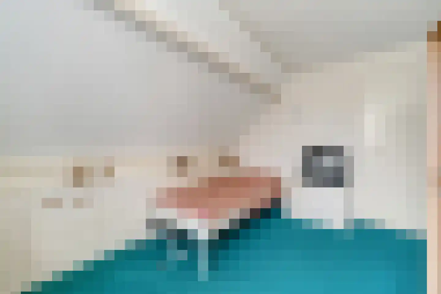 Slettenhaarsweide 4 Nijverdal thumbnail 24