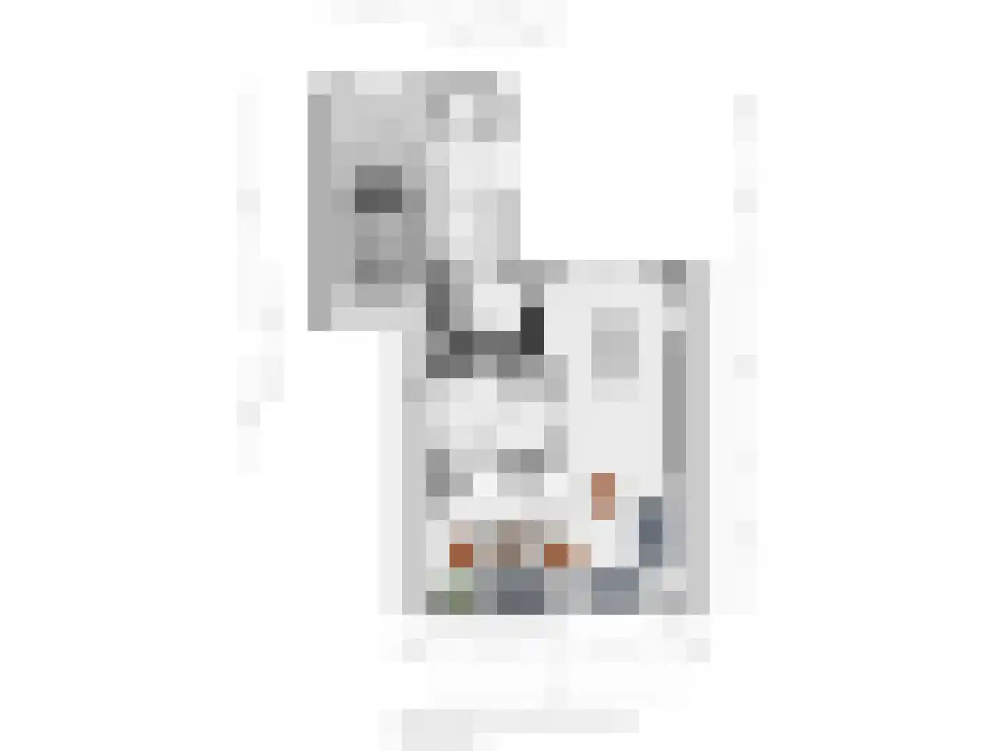 Slettenhaarsweide 4 Nijverdal thumbnail 37