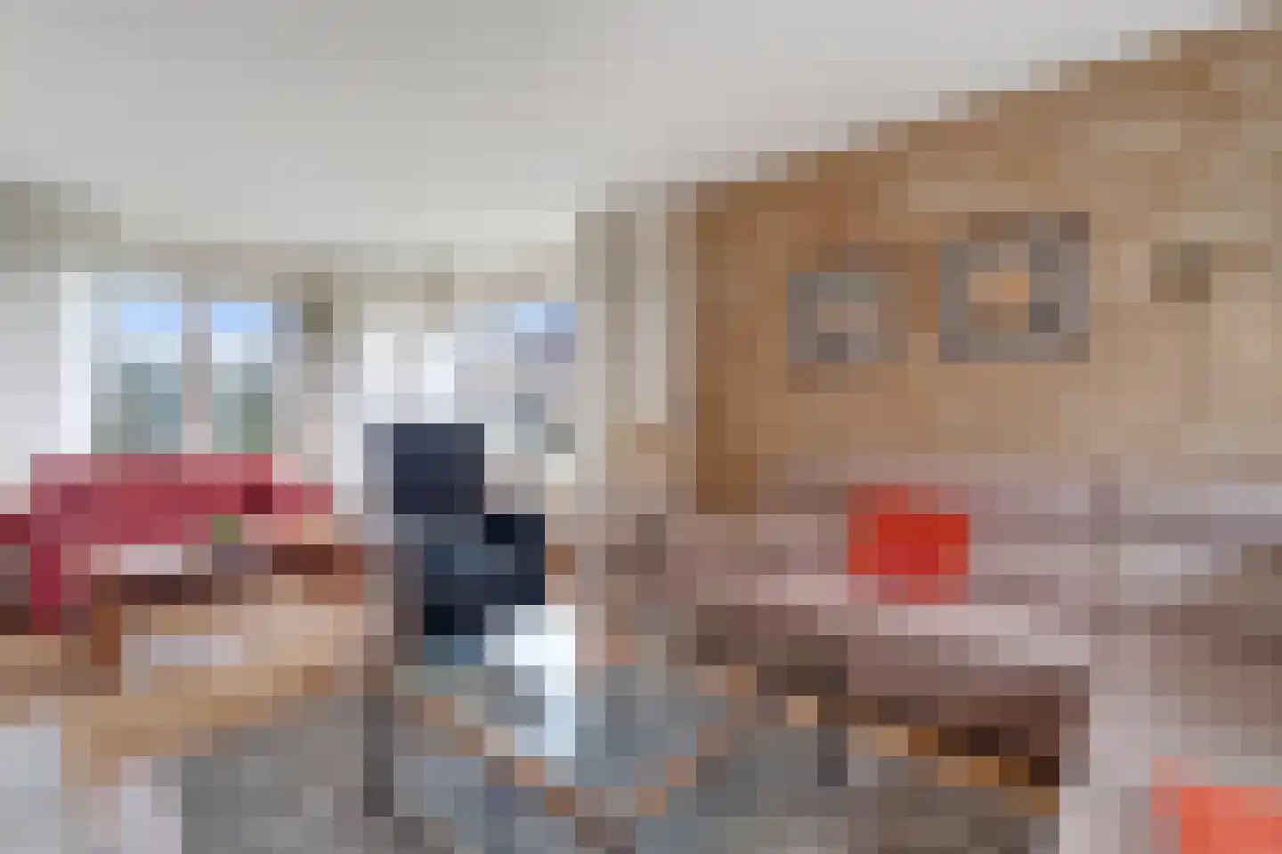 Slettenhaarsweide 4 Nijverdal thumbnail 4