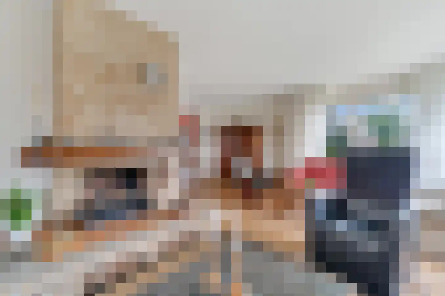 Slettenhaarsweide 4 Nijverdal thumbnail 5