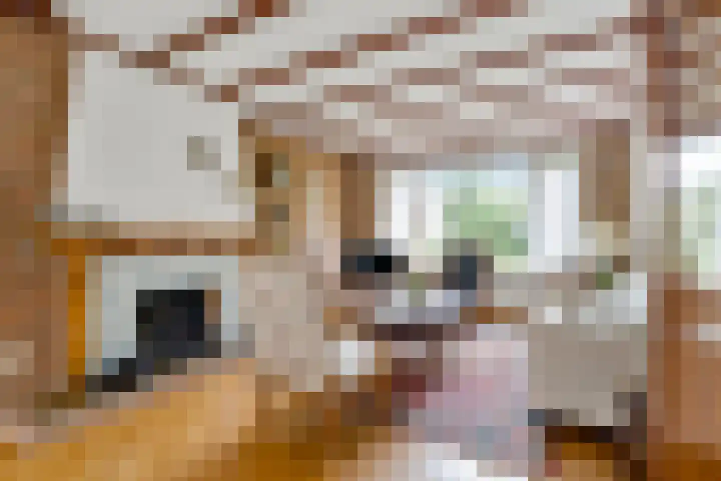 Slettenhaarsweide 75 Nijverdal thumbnail 10