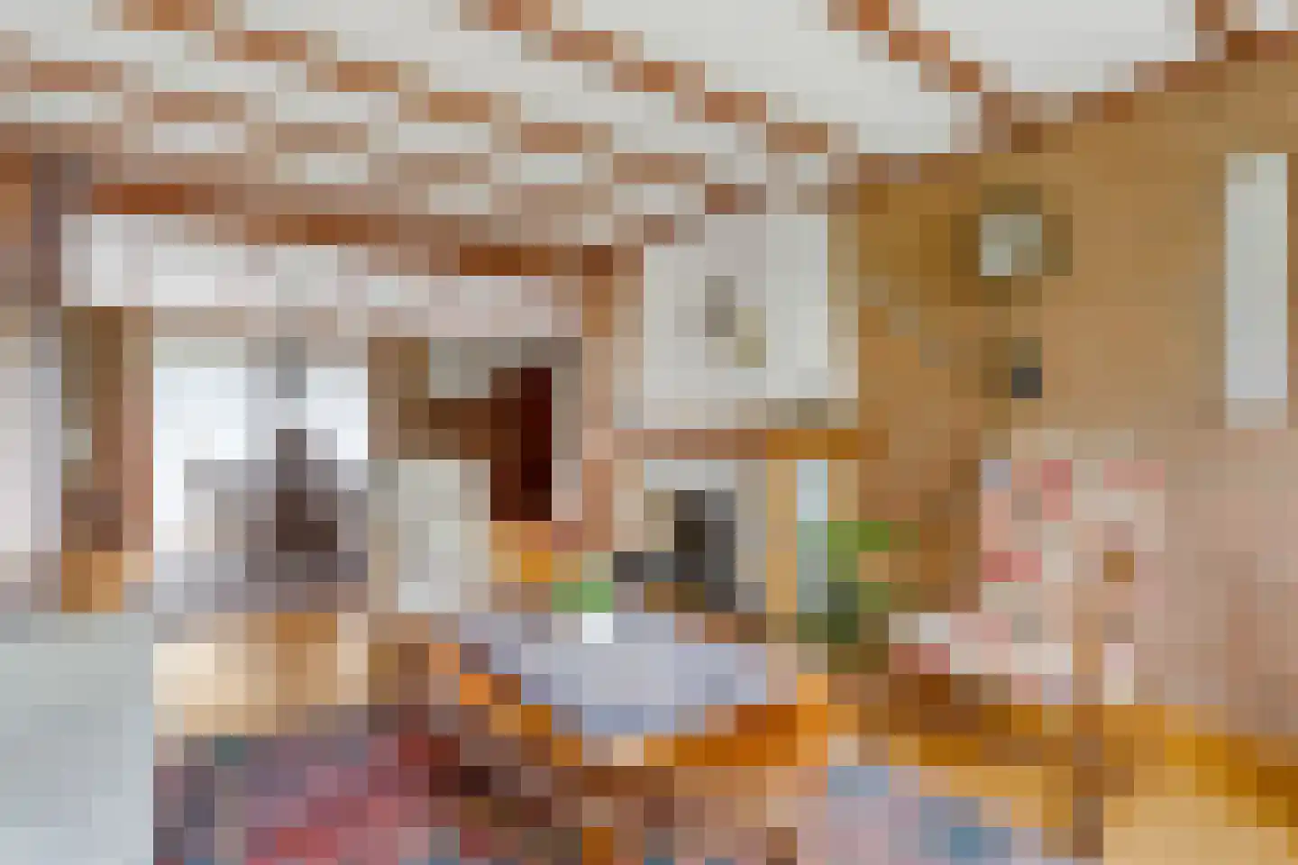 Slettenhaarsweide 75 Nijverdal thumbnail 12