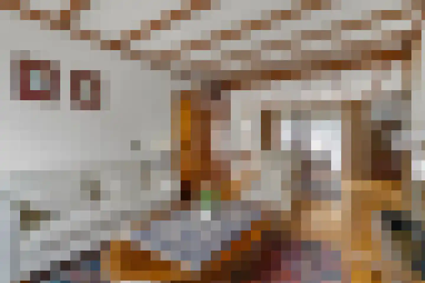 Slettenhaarsweide 75 Nijverdal thumbnail 13