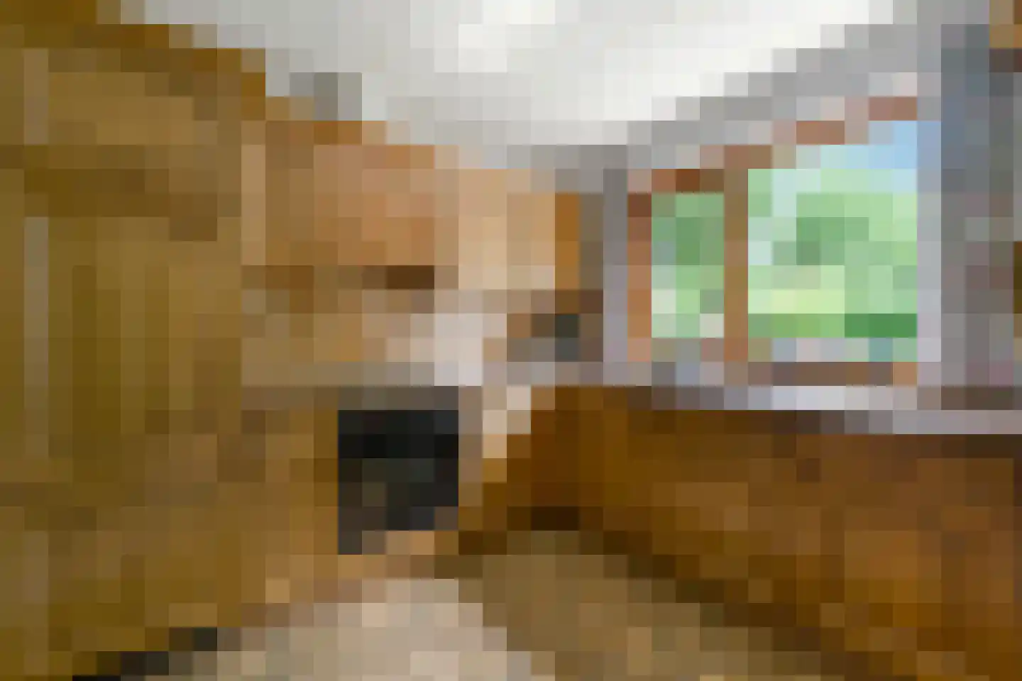 Slettenhaarsweide 75 Nijverdal thumbnail 15