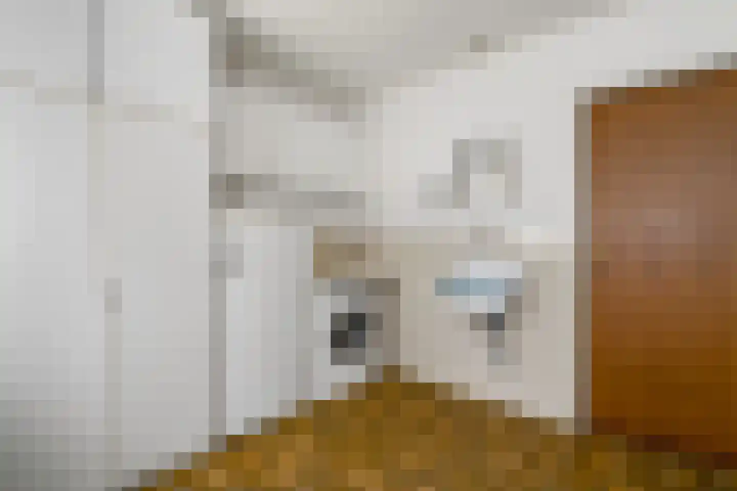 Slettenhaarsweide 75 Nijverdal thumbnail 18