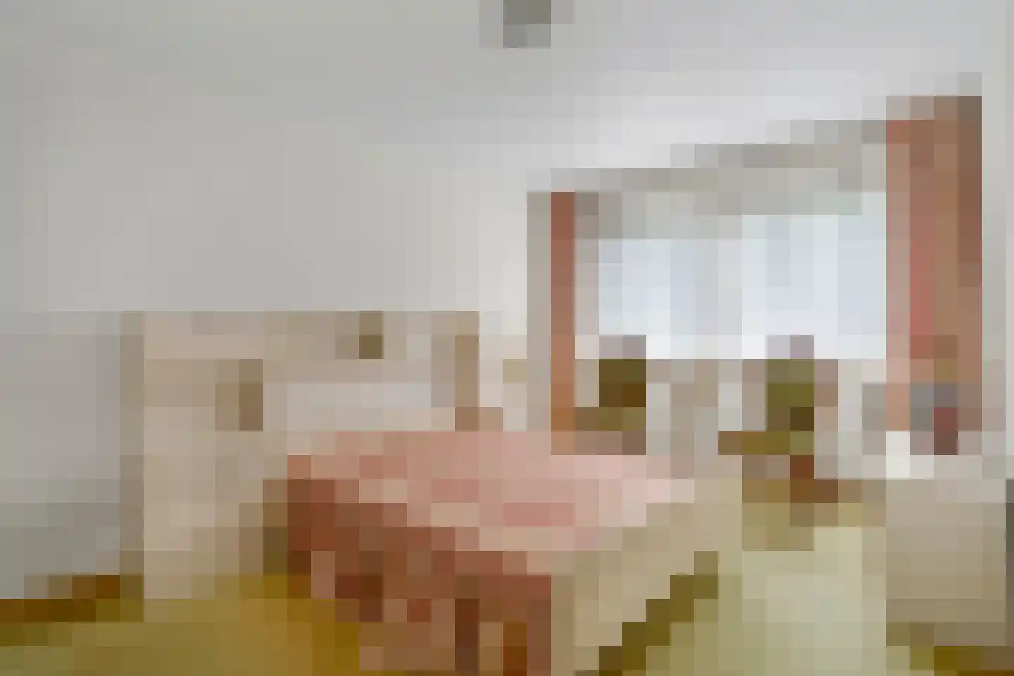 Slettenhaarsweide 75 Nijverdal thumbnail 20