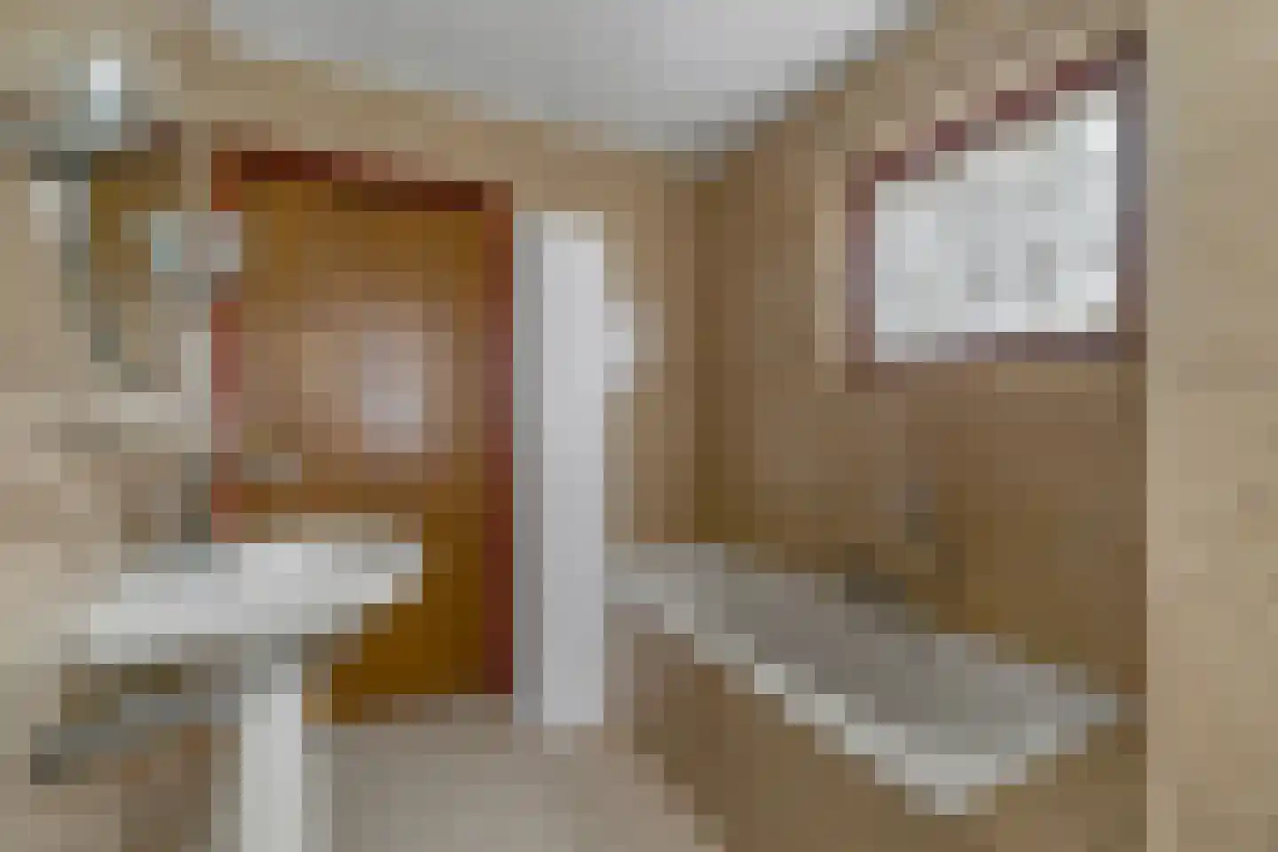 Slettenhaarsweide 75 Nijverdal thumbnail 29